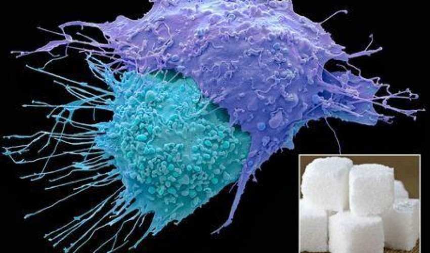 علماء يبتكرون قنبلة سكر تدمر الخلايا السرطانية في ثوان